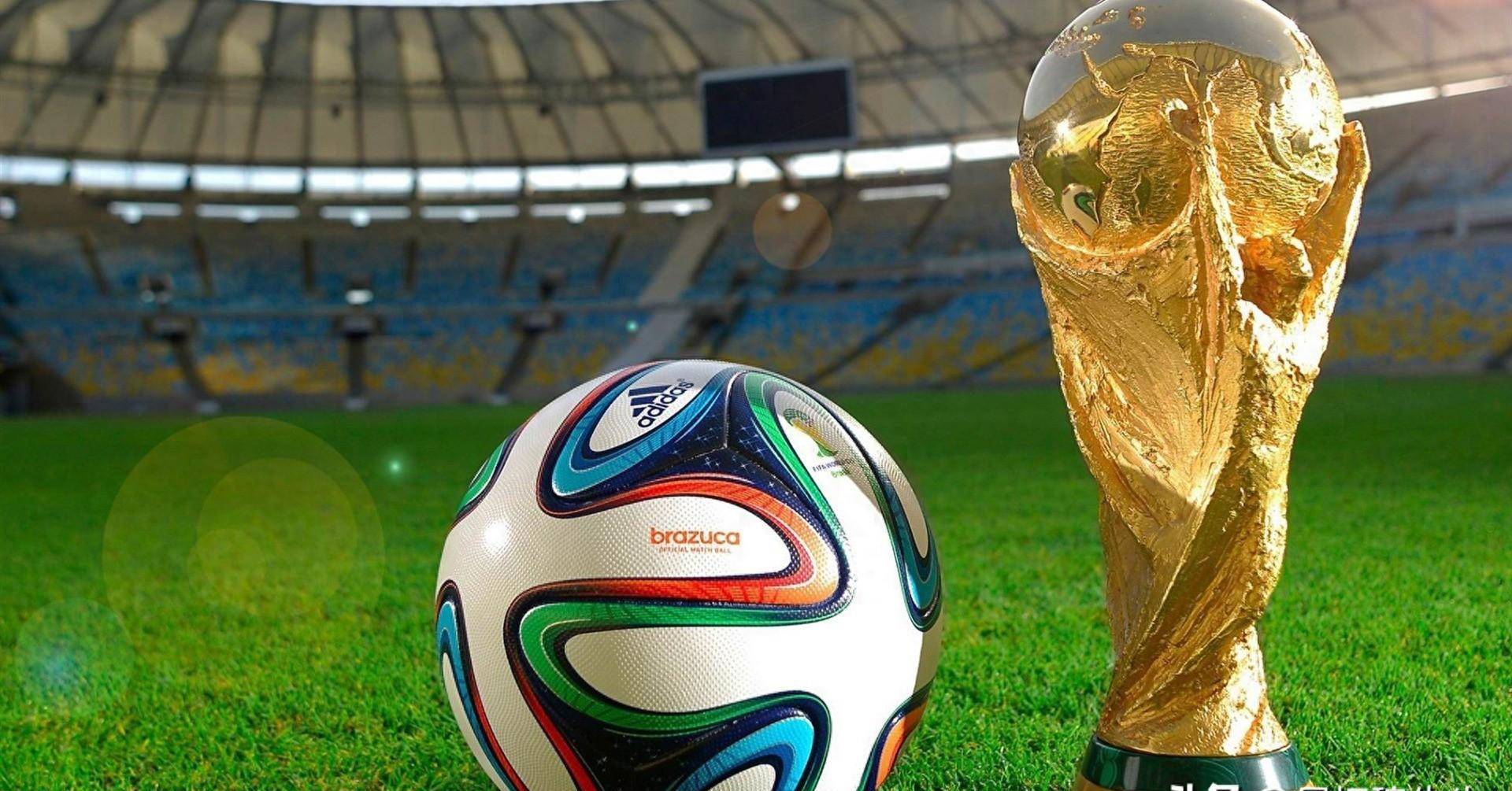 再次成为本 再次成为本