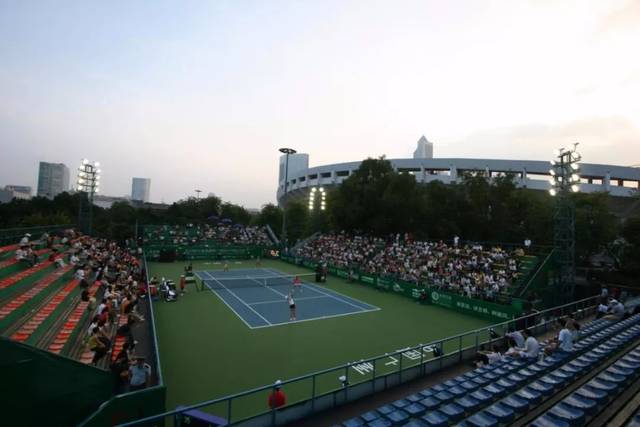 但猛龙依靠 但猛龙依靠